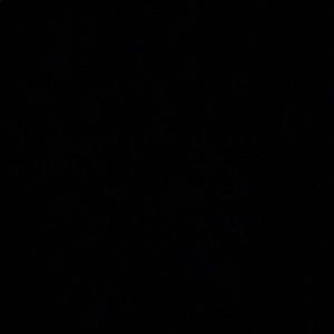 Meet your Posher, Paola